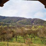 agropensiunea oaza1a